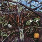 lp nieuw - Dragonfly - Dragonfly, Verzenden, Zo goed als nieuw