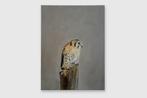 Matthieu van Riel - Falcon, Antiek en Kunst