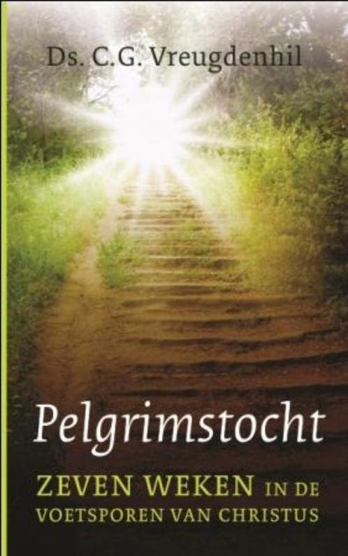 Pelgrimstocht 9789088652042 C.G. Vreugdenhil, Boeken, Godsdienst en Theologie, Gelezen, Verzenden