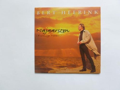 Bert Heerink - Najaarszon (CD Single), Cd's en Dvd's, Cd Singles, Verzenden