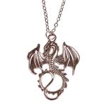 Ketting Zilverkleurig 55cm - Hangertje Draak groot zilverkle, Ophalen of Verzenden, Nieuw
