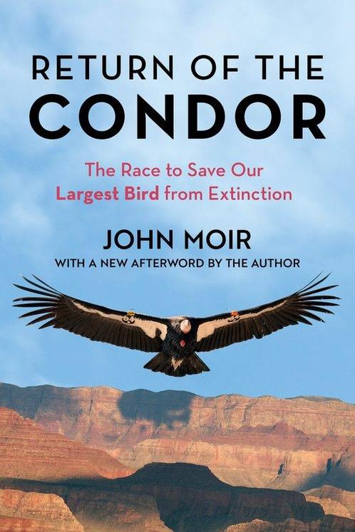 9781493076659 Return of the Condor John Moir, Boeken, Studieboeken en Cursussen, Nieuw, Verzenden