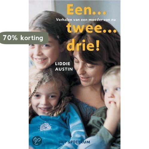 EEN TWEE DRIE 9789027480958 Lynn Austin, Boeken, Hobby en Vrije tijd, Gelezen, Verzenden
