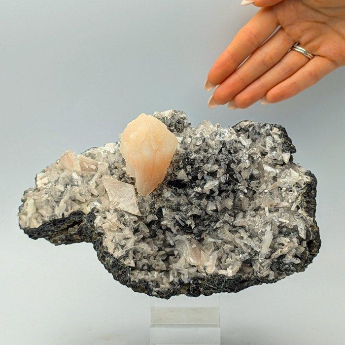 FIORE van ROOSA STILBITE op WEID van HEULANDITE, Esthetisch, Verzamelen, Mineralen en Fossielen