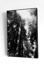 Rouzbeh Tahmassian - Lost - No reserve price