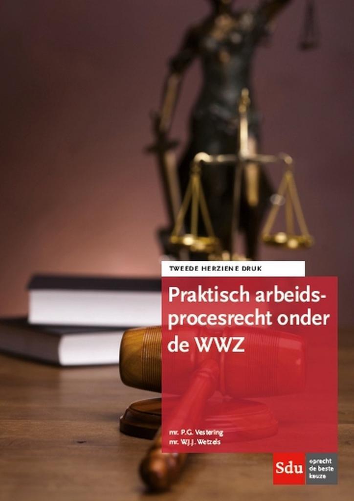 9789012401487 Praktisch arbeidsprocesrecht onder de WWZ, Boeken, Schoolboeken, Zo goed als nieuw, Verzenden