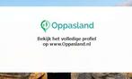 Ik ben Chayenne, 18 jaar oud en ik zoek oppaswerk in Roel..., Diensten en Vakmensen
