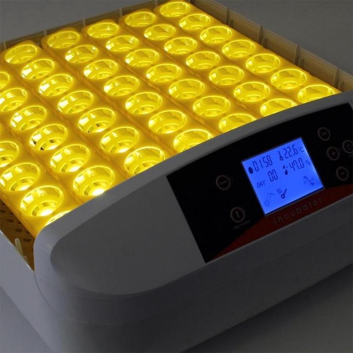 HHD 42 ei automatische broedmachine + GRATIS broedeieren, Dieren en Toebehoren, Pluimvee | Toebehoren, Nieuw, Broedmachine, Verzenden