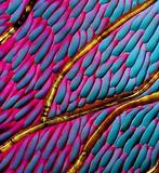 Maria Ruisi - Spark of Life Sculpture murale monumentale