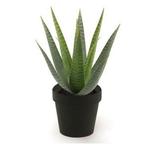 Kunstplant aloe vera groen in zwarte pot 23 cm - Overige k..