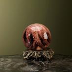 Octopus op Sterk Water Taxidermie Opgezette Dieren By Max, Verzamelen, Dierenverzamelingen, Nieuw, Wild dier, Opgezet dier, Ophalen of Verzenden