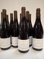 2023 Domaine Marcel de Normont - Coteaux Bourguignons, - 12, Nieuw