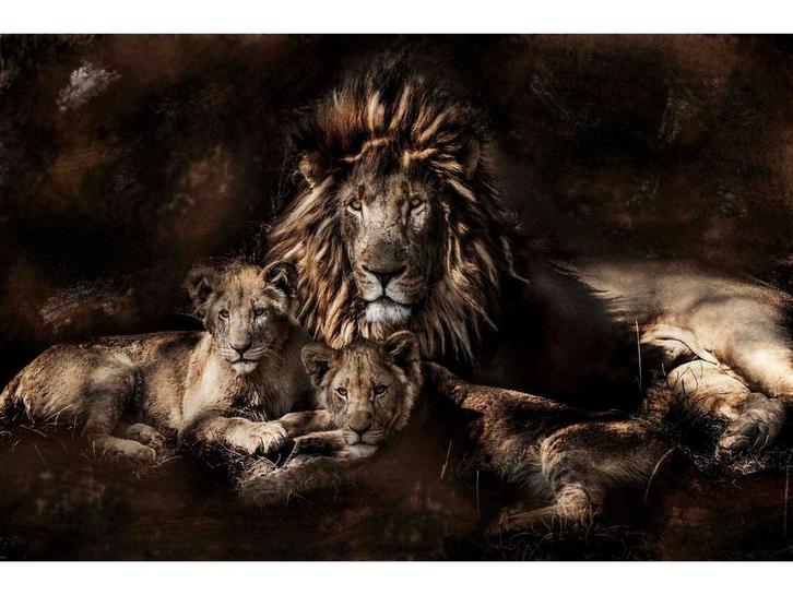 Glasschilderij Leeuwen Famillie S348, Huis en Inrichting, Woonaccessoires | Overige, Nieuw, Ophalen of Verzenden