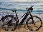 Kettler Velossi 2.0 Pinion, 160-178cm, 45km/h + riem, Overige merken, Ophalen of Verzenden, Zo goed als nieuw, 51 tot 55 cm
