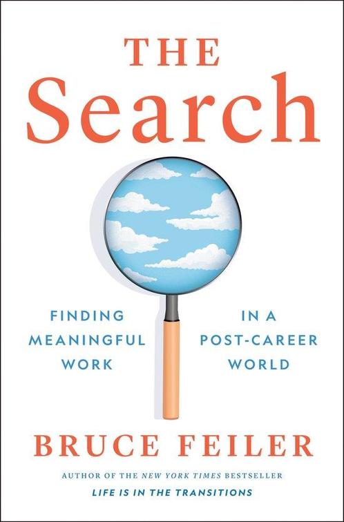 The Search 9780593298916 Bruce Feiler, Boeken, Taal | Engels, Gelezen, Verzenden