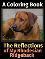 9781708495848 The Reflections of My Rhodesian Ridgeback, Nieuw, Brightview Activity Books, Verzenden