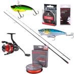 Ultimate Seabass Slayer Set 270cm (10-35g), Watersport en Boten, Hengelsport | Algemeen, Verzenden, Nieuw