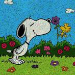 David Law (1967) - Crypto Snoopy - Springtime