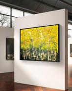Irena Lenartowicz - Spring - XXL, Antiek en Kunst