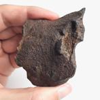 Grote Gebel Kamil. Meteoriet met krater. Hagedis huidtextuur