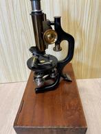 Microscoop - 61072 38 - 1920-1930 - Reichert