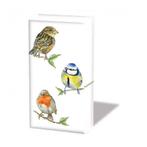 Ambiente - Zakdoeken - Bird species white, Hobby en Vrije tijd, Verzenden, Nieuw