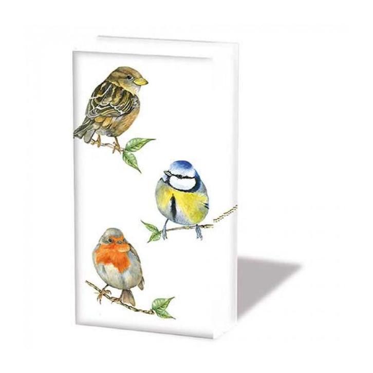 Ambiente - Zakdoeken - Bird species white, Hobby en Vrije tijd, Knutselen, Nieuw, Verzenden