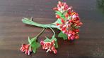 Besjes, blad, meeldraden Rood bundel 10 st Scrapbook/corsage, Ophalen of Verzenden, Nieuw