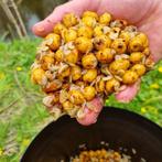 Karpervoer | Tijgernoten | Partikels | Boilies | Pellets, Watersport en Boten, Hengelsport | Karpervissen, Ophalen of Verzenden