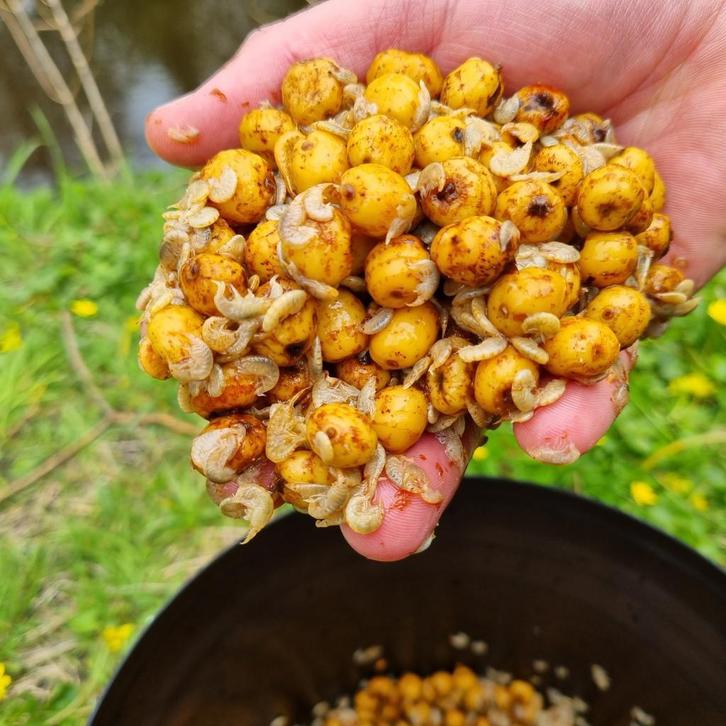 Karpervoer | Tijgernoten | Partikels | Boilies | Pellets, Watersport en Boten, Hengelsport | Karpervissen, Overige typen, Nieuw