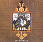 cd - Quiver - Gone In The Morning, Verzenden, Zo goed als nieuw