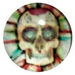 Fako Bijoux - Click Button - Glas - Schedel Multi, Verzenden, Nieuw