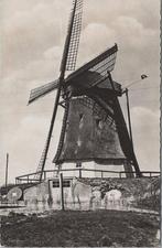 EGMOND AAN DEN HOEF - Achterkante Bergmolen, Verzamelen, Ansichtkaarten | Nederland, Verzenden, Gelopen