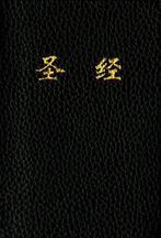 9781496409614 CUV Holy Bible Chinese Text Edition, Boeken, Godsdienst en Theologie, Nieuw, Tyndale House Publishers, Verzenden