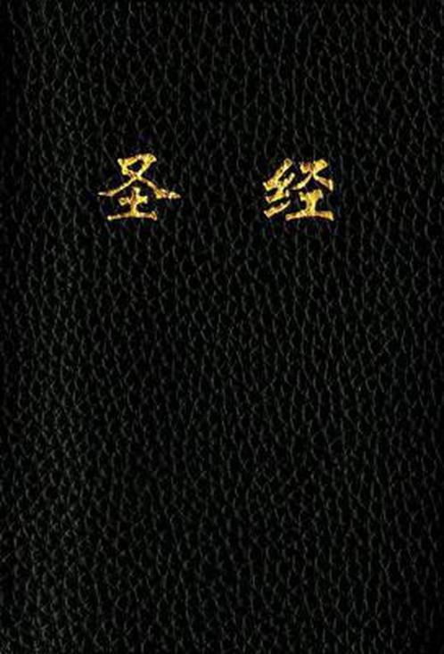 9781496409614 CUV Holy Bible Chinese Text Edition, Boeken, Godsdienst en Theologie, Nieuw, Verzenden