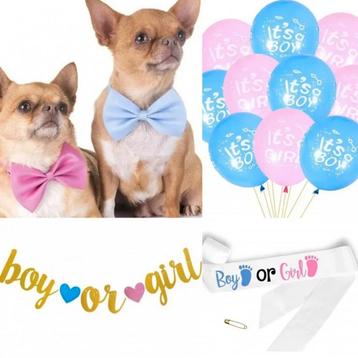 Genderreveal set met hondenstrikken+ballonnen+sjerp+slinger