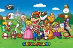 Hole in the Wall Super Mario Maxi Poster-Mushroom Kingdom, Ophalen of Verzenden, Nieuw