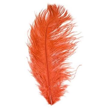 spadona Oranje/rood  (50-60cm) beschikbaar voor biedingen