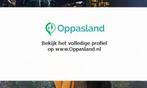 Ralf zoekt een oppas in Rotterdam voor 2 kinderen op dins...