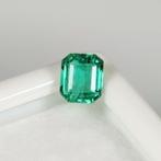 Groen Smaragd - 1.16 ct - International Gemological, Nieuw