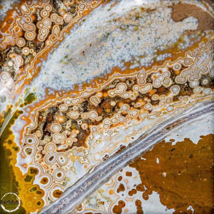 Majestueus oogjaspis-vrijvorm uit Madagaskar – 4 aders, 54,6, Verzamelen, Mineralen en Fossielen