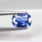 Blauw Saffier - 1.02 ct - nternational Colored Gemstone, Nieuw
