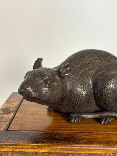 Rat Standbeeld - Brons - Eind 20e eeuw, Antiek en Kunst, Curiosa en Brocante