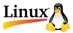 Linux als gratis download of voor € 29,95 op USB Flash drive, Ophalen of Verzenden, Nieuw