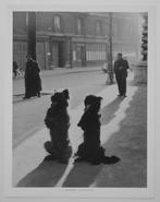 Robert Doisneau (1912–1994) - Dogs, Rue de la Chapelle,