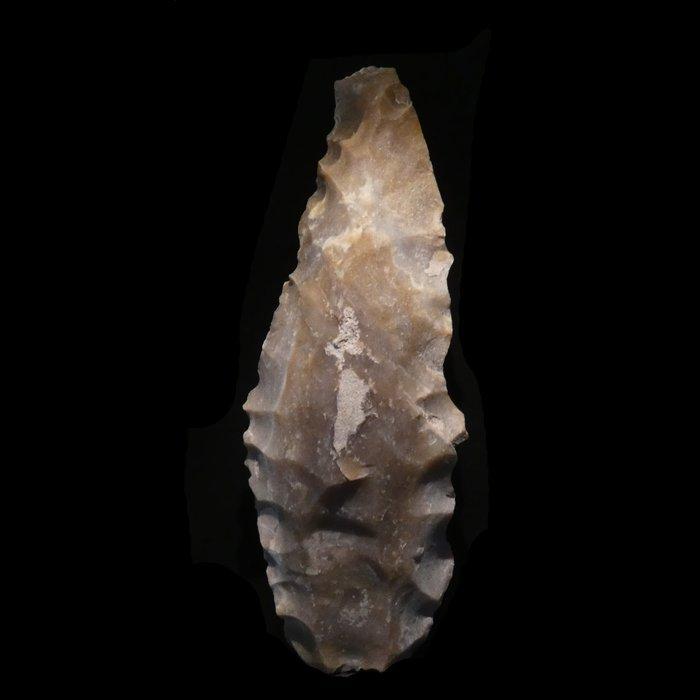 Neolithisch Botervloot. 30 cm L. 5000 v.Chr. Bijl, Antiek en Kunst, Antiek | Overige Antiek