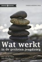 Wat werkt in de gesloten jeugdzorg 9789088503771, Boeken, Verzenden, Gelezen
