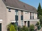 Huis Schultz van Hagenstraat in Rotterdam, Overige soorten, Zuid-Holland