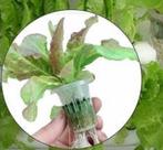 Kweekmandjes Hydrocultuur #60 8.5x7 cm ca. 10 stuks, Ophalen of Verzenden, Nieuw