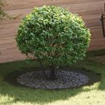 vidaXL Plantenring Olijfgroen Ø90/120 cm Staal, Verzenden, Nieuw